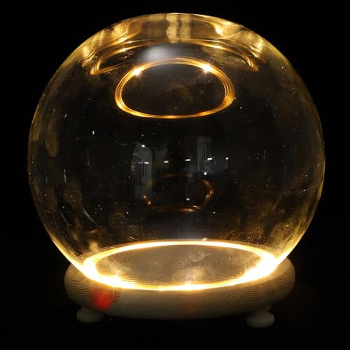 GOOHOCHY Présentoir en Verre Transparent Socle en Bois, Dôme Lumineux pour Décoration Artisanale, Bureau et Exposition de Plantes sous Verre