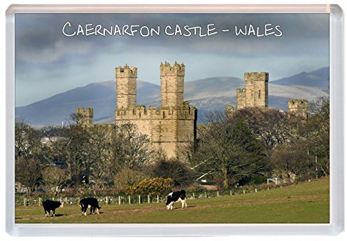 Caernarfon Castle - Wales - Jumbo Fridge Magnet