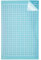 Zinueen Schneidematte für Cricut Joy Xtra - 12 x 8.5 Zoll LichtGrip Selbstklebende Cutting Mat, Ersatzkleber Klebrige Schneidematten Ersatz-Sorte Rutschfester Matt für Cricut Joy Zubehör, 1 Stück