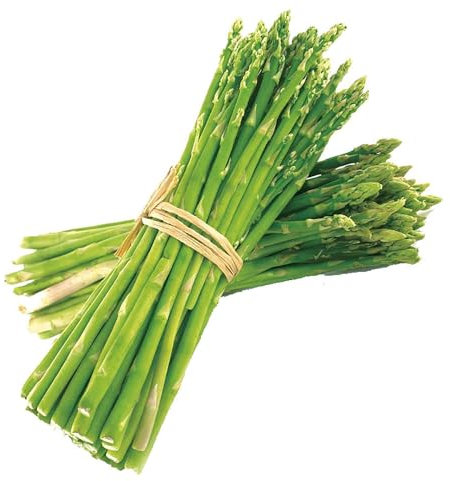 SAVINI VIVAI Zampe di Asparago da Coltivare Casa Orto Giardino Zampe di Asparagi in confezione Made in Italy Selvatico Montina [PZ 10]