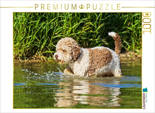 CALVENDO Puzzle EIN Motiv aus dem Kalender Lagotto Romagnolo - EIN Hund zum Verlieben | 1000 Teile Lege-Größe 64 x 48 cm Foto-Puzzle für glückliche Stunden