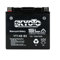 Batterie Kyoto pour Moto Yamaha 1300 XJR 1999 à 2006 YT14B-BS SLA / 12V 12Ah Neuf