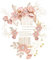 Aweisile Braut Haarschmuck Set - 5 Stück Haarkamm, Haarspangen, Blumen Haarnadeln für Hochzeit - Brautschmuck Haar Zubehör