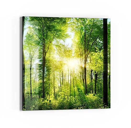 DEQORI Glasbild Echtglas | Motiv Sonne durchbricht Wald | quadratisch einteilig 30x30 cm | schöne Dekoration | Wandbild für Wohnzimmer, Schlafzimmer, Flur & Küche | moderne Wanddeko