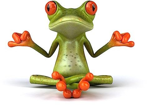 Frosch Zen Vinyl-Aufkleber, Grafik, 11,4 cm B x 8,9 cm H