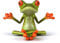 Frosch Zen Vinyl-Aufkleber, Grafik, 11,4 cm B x 8,9 cm H