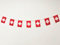 Bandera de Suiza 40 Unidades Bandera de Suiza, Guirnalda Suiza 11.4M, banderines Suiza, Bandera Nacional Banderas Europeas 14 x 21 cm Decoraciones Bares