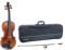 GEWA Violine, Violingarnitur Serie Maestro 2 VL 4, 1/2 Spielfertig inkl. Violinkoffer, Carbon Bogen und Larsen Aurora Saiten