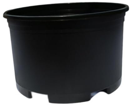 Grand pot de fleurs pour intérieur et extérieur Jardinage pépinière Conteneur pour plantes d'intérieur et cour Violet Taille 34 cm