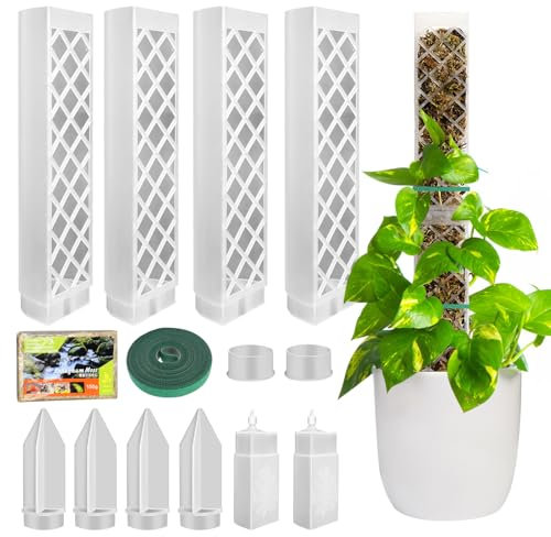 Moss Pole di Plastica, 4 Pezzi 35 cm (Palo per Piante Rampicanti + Inserimento a Terra) + 150 g Muschio, Palo di Sfagno per Piante Rampicanti da Interni ed Esterni, Sostegno per Piante