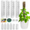 Moss Pole di Plastica, 4 Pezzi 35 cm (Palo per Piante Rampicanti + Inserimento a Terra) + 150 g Muschio, Palo di Sfagno per Piante Rampicanti da Interni ed Esterni, Sostegno per Piante