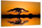 Paul Sinus Art Keilrahmenbild auf echter Leinwand gespannt (Afrika Akazie 120x80 cm) Bilder fertig gerahmt mit Keilrahmen riesig. Ausführung Kunstdruck auf Leinwand.