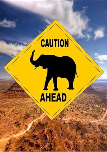 Plaque en métal de style australien, panneau de signalisation routière fantaisie, panneau d'avertissement éléphant, panneau carré, 30,5 x 30,5 cm