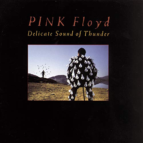 Delicate Sound of Thunder