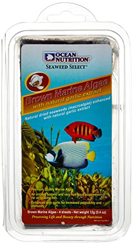 Ocean Nutrition Seaweed Select Brown Marine Algae 12g