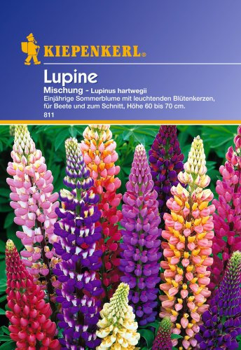 Sperli Blumensamen Lupinen einjährige Mischung, grün