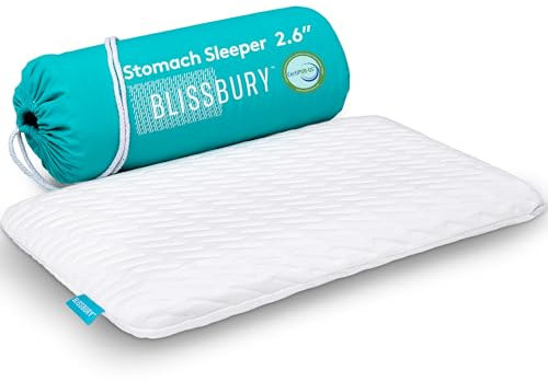 BLISSBURY Oreiller Fin en Mousse à mémoire de Forme pour Le Ventre ou Le Dos avec Housse Lavable en Bambou Doux, Soutien du Cou et de la tête pour Homme et Femme 6,6 cm