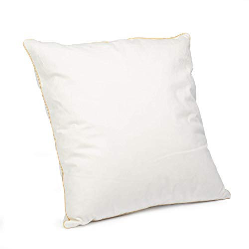 H&F Heimtextilien Federkissen 40x40 cm | 300g Kissenfülung 100% Federn | Kissen mit OekoTex Zertifikat | Bezug 100% Baumwolle