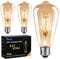 Edison Light Bulb, 4W LED Vintage Bulbs E27, Retro LED Filament Bulb Amber Glass Edison Screw Lamp ST64, 400LM 2700K Warm White - 3 Pack