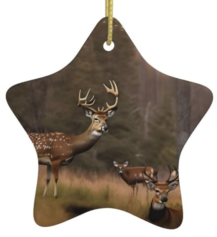 Weihnachtsbaum Keramik Sternform Ornamente, passend für Paare, Hochzeit, Familie Weihnachtsschmuck Hirsch Jagd
