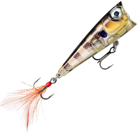 Rapala X-Light Pop 4cm 4,5g - Oberflächenköder, Farbe:Glassy Gill UV