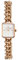 Daniel Wellington Jolie Montre 15.4 Steinless Steel with Pvd Plated Rose Gold Rose Gold