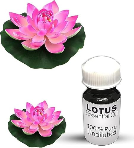 Lotus Essential Oil / 100% Pure Lotus Undiluted Essential Oil Premium Quality (25 ML, NATURAL)