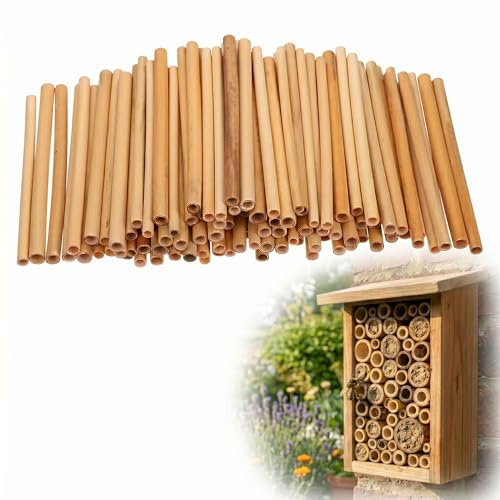JOINPAYA Schilfrohre 100 Stück 20.00 cm 0.5–0.8 cm | Natürliche Schilfröhren, Für Mauerbienen, Nachfüllpackung, Außenbereich