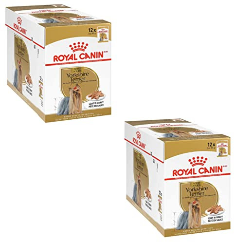 Royal Canin Yorkshire Terrier Adult | Doppelpack | 2 x 12 x 85 g | Nassfutter für ausgewachsene Hunde | Ab dem 10. Lebensmonat | Zur Unterstützung von Fell und Stuhlqualität