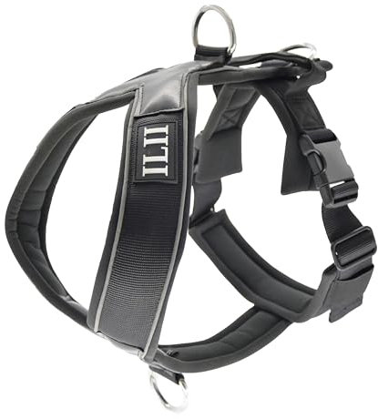 ILII Y Hundegeschirr - Robust, Elegant Und Komfortabel, Einzigartiges Design Für Mittelgroße Und Große Hunde, Extrem Widerstandsfähiges Geschirr, Perfekt Für Den Sommer, Minimale Abdeckung