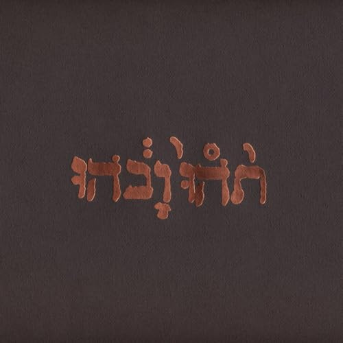 Slow Riot For New Zero Kanada (ep)