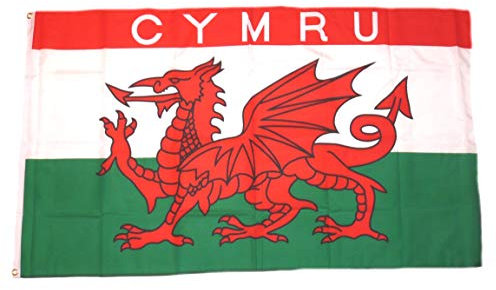 Fahne/Flagge Wales mit Schrift NEU 90 x 150 cm