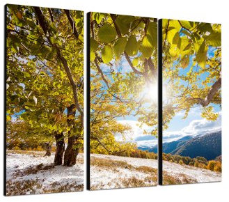 Herbst Sonnenschein 3x40x90cm dreiteiliges Wandbild auf Leinwand und Keilrahmen fertig zum aufhängen - Unsere Bilder auf Leinwand bestechen durch ihre ungewöhnlichen Formate und den extrem detaillierten Druck aus bis zu 100 Megapixel hoch aufgelösten Fotos.