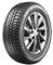 Sunny Wintermax NW211 ( 215/65 R16 98H )