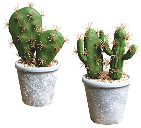 Fycooler Plantes succulentes artificielles en Pots Faux Cactus Faux Succulents décoratifs Faux Cactus en Pot Cactus avec Rock Faux Cactus Artificiel pour Décoration de Maison Décorations d'intérieur