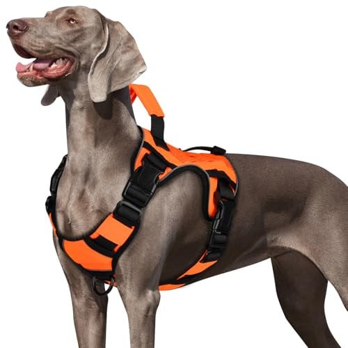 WINGOIN Orange Taktisches Hundegeschirr für mittelgroße Hunde, strapazierfähig, kein Ziehen, Hundegeschirr mit Griff, verstellbar, reflektierend, Militär, K9, Haustierweste für Pitbull, weiblich