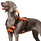 WINGOIN Orange Taktisches Hundegeschirr für mittelgroße Hunde, strapazierfähig, kein Ziehen, Hundegeschirr mit Griff, verstellbar, reflektierend, Militär, K9, Haustierweste für Pitbull, weiblich
