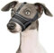 Comfortable Breathable Mesh Dog Muzzle with Headband, Adjustable Design Dog Muzzle for Preventing Biting, Barking, Licking and Chewing (Black, S)