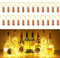 Bottle Lights 22pcs, 2m 20 LED Cork Lights for Wine Bottles, Copper Wire Light for Bottle for Birthday, Wedding, Christmas DIY Indoor/Outdoor Table Decoration (Warm White)
