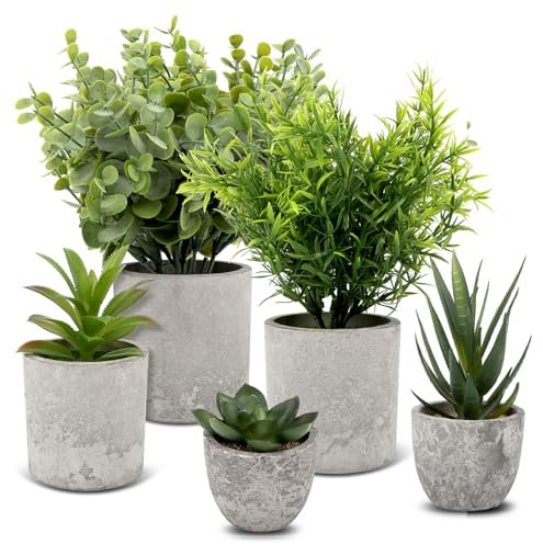 5 Piezas Pequeño Plantas Artificiales Decorativas con Macetas, Plantas Decorativas, Plásticos Mini Plantas Falsas, Lengua de Serpiente, Eucalipto, Ecologización Artificiales Macetas para Interior