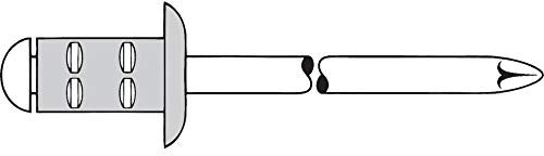 TPF Comercial 0007693310410 0007693310410-Pack Remaches Ciegos (Aluminio, INOX, 4 x 10 mm), Set de 500 Piezas