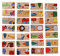 28 Teile/Satz Domino Block, Holz Puzzle Pädagogisches Spielzeug Tier Bunte Gedruckte Bausteine ​​Set Schreibtisch Puzzle Spiel Spielsets für Kinder Kinder
