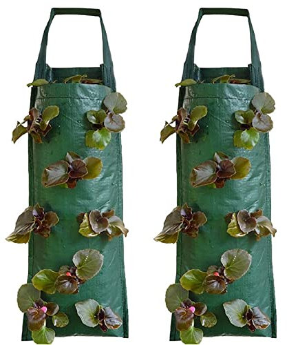 Mandeep 2er Pack Pflanztasche Hängend Vertikal Pflanzsack Pflanzbeutel Erdbeere Grow Tasche Atmungsaktiv
