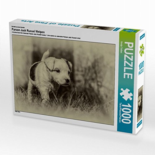 CALVENDO Puzzle Parson Jack Russel Welpen 1000 Teile Lege-Größe 64 x 48 cm Foto-Puzzle Bild von Sonja Teßen
