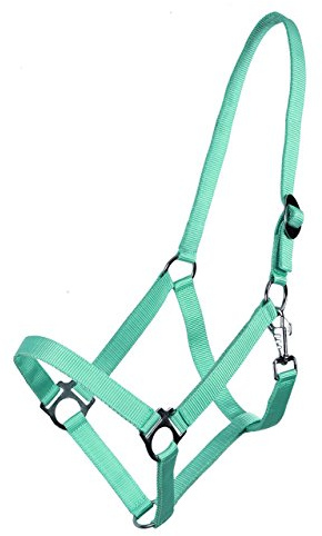 QHP Nylonhalfter Genickstück verstellbar durch Schiebeschnalle (Warmblut, Türkis)