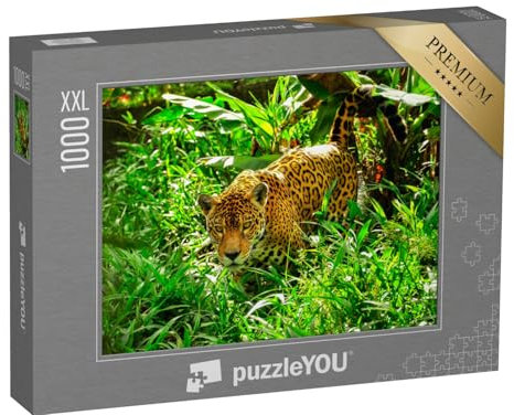 Puzzle 1000 Teile XXL „EIN Erwachsener Jaguar auf der Pirsch im Gras“ – aus der Puzzle-Kollektion Jaguar, Tiere in Dschungel & Regenwald
