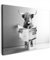 MuchoWow© Leinwand Bilder 80x60 cm Wanddeko Wohnzimmer Aesthetic Room Decor Deko Zimmer Wandbilder Modern Fotogeschenke Toilette - Zeitung - Schottisches Hochlandrind - Schwarz und Weiß