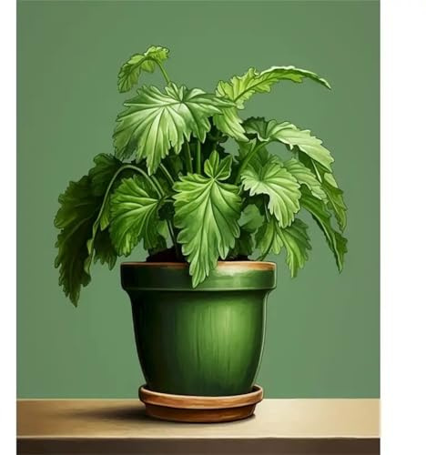 Heaen DIY Sin Marco pintura por números adultos,Plantas verdes en macetas kit de pintura al óleo de lienzo,Cuadros para Pintar Por Numeros Niños manualidades para decoración en casa 55x70cm
