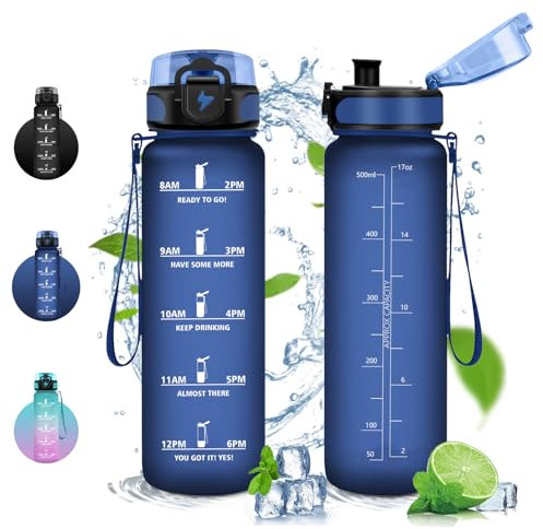Vikaster Gourde Sport, Bouteille d'eau 0.5l, sans BPA, Étanche & Réutilisable, Water Bottle Ouvrir en un Clic, Convient Pour la Camping, le Gym, le Yoga, Gourde Randonnée
