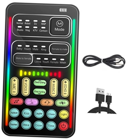 DIYEAH Carte Externe et Changeur de Voix Portable pour Ordinateur Outil de Modification de Voix pour Jeu et Streaming Direct